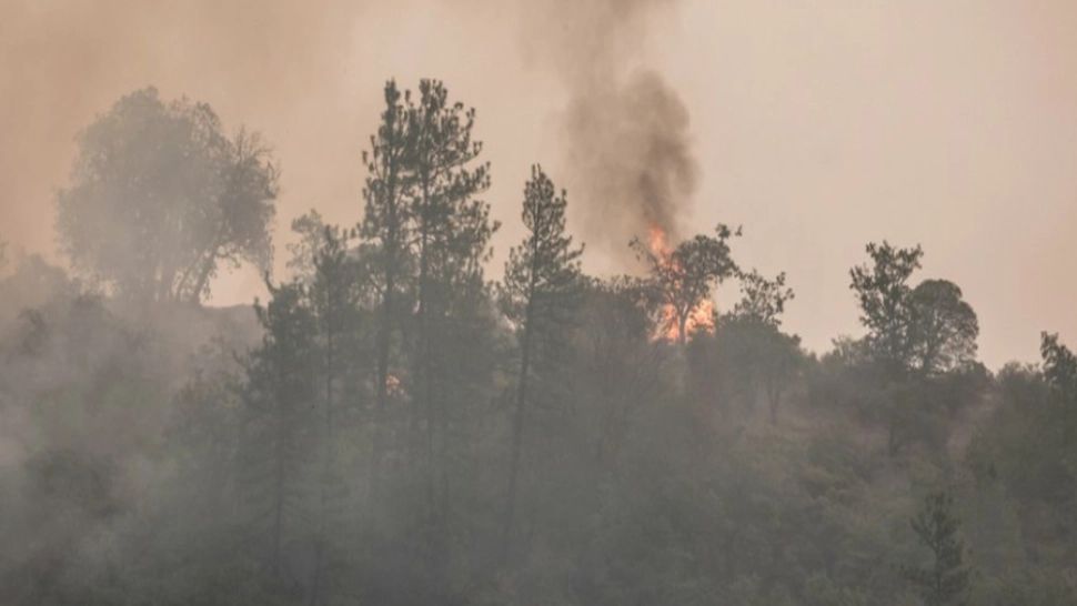 Situație ALARMANTĂ! Incendiul de pădure din Bacău, scăpat de sub control