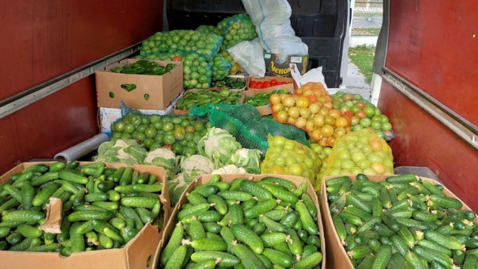 Proiect INEDIT! Legumicultorii din Olt lansează aplicație de livrări la domiciliu