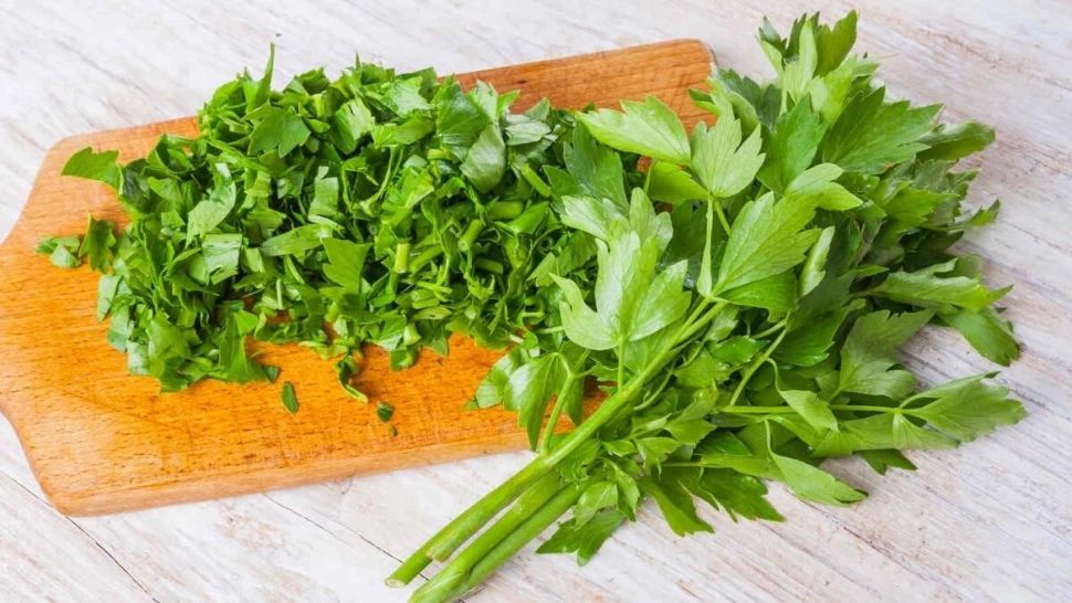 NU mai puneţi leuştean la ciorbă dacă suferiţi de această BOALĂ! Medici, semnal de alarmă 