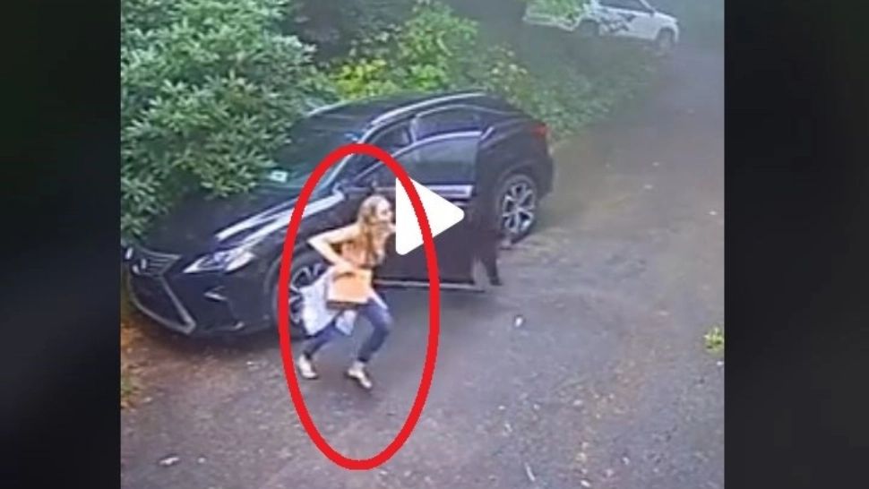 VIDEO – A cules câteva mere și a vrut să intre înapoi în mașină – Când a văzut ce era înăuntru, a luat-o la fugă țipând