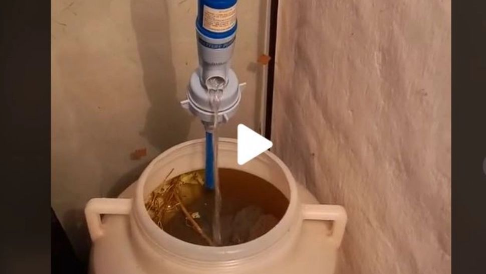 VIDEO – Cum se face civilizat “vânturatul” murăturilor – Cea mai nouă metodă care înlocuiește “suflatul” în butoi