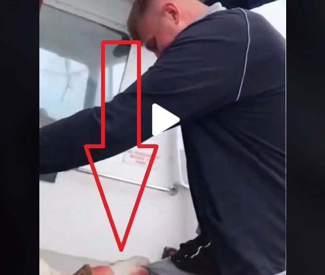 VIDEO – Peștele l-a prins de pantaloni, într-o zonă periculoasă – Dacă nu ar fi fost filmat, nimeni nu ar fi crezut așa ceva