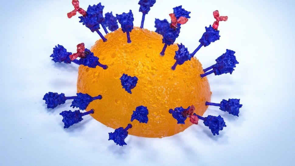 ALERTĂ SANITARĂ! Un prim caz al variantei COVID din Africa de Sud, descoperit în Israel. Alte două, în curs de investigare