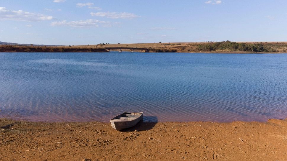 Un bărbat a sărit într-un iaz ca să scape de atacul unui roi de albine, dar a murit devorat de pești piranha