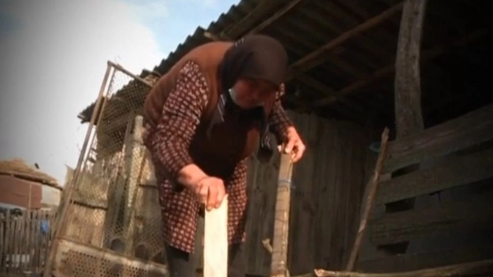 Lemnele de foc, de două ori mai scumpe decât anul trecut: Cum se descurcă oamenii din cea mai SĂRACĂ localitate - Necșești