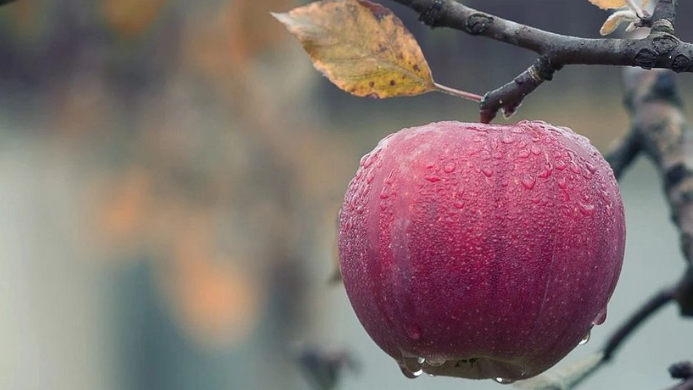 Val de AER POLAR peste România. Vremea se schimbă radical 