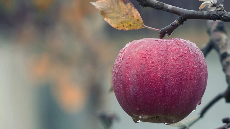 Alertă meteo: cod galben de fenomene meteo periculoase