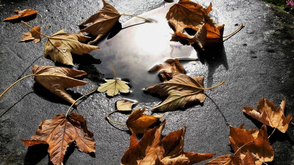 Prognoza 15 noiembrie. Schimbări dramatice ale vremii: maximele abia ating 13 grade