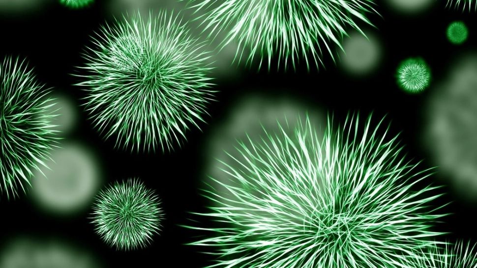 Medic, avertisment tulburător: când ar putea ajunge varianta Omicron de coronavirus în România