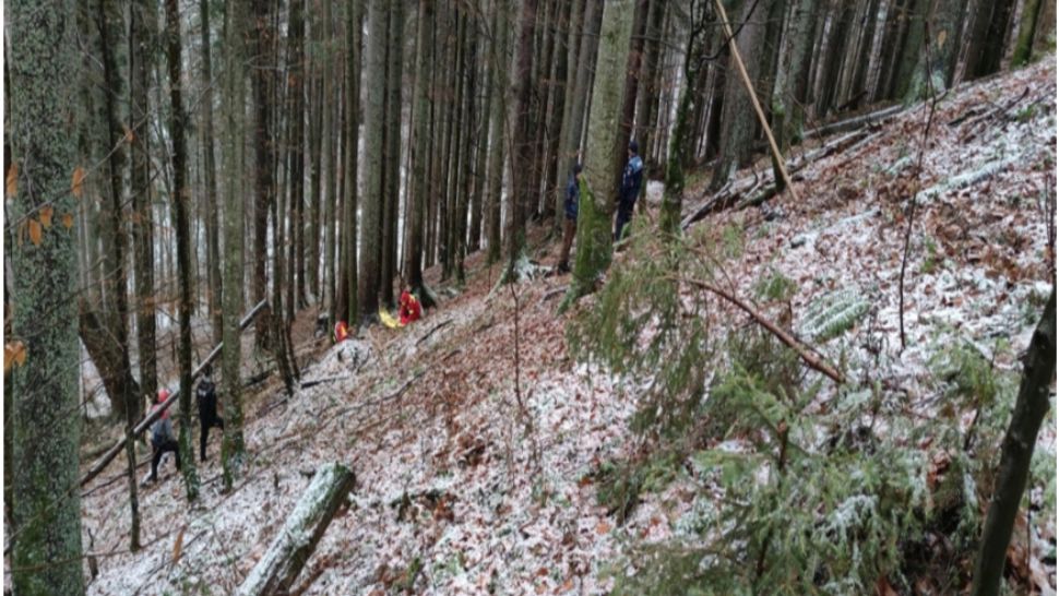 FOTO Bărbat decedat după ce a fost lovit de un copac, într-o pădure din Bistrița-Năsăud. A fost sesizată Inspecția Muncii 