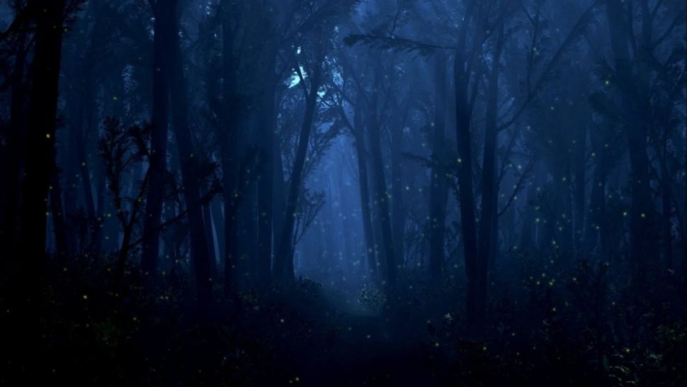 Sunetul MISTERIOS pe care nimeni nu îl poate explica. O persoană s-a sinucis după ce l-a auzit