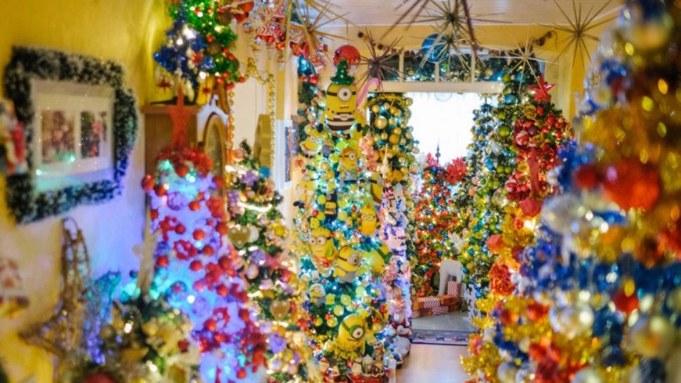 FOTO + VIDEO | O familie din Germania a doborât recordul la împodobit brazi