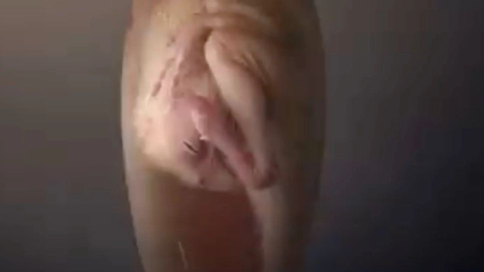 VIDEO | Descoperire istorică în China! Inițial au crezut că sunt ouă, dar când s-au uitat cu atenție, au rămas UIMIȚI