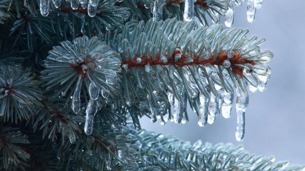 ATENȚIONARE meteo. 13 judeţe şi Capitala, sub Cod galben de burniţă şi polei, până joi dimineaţa