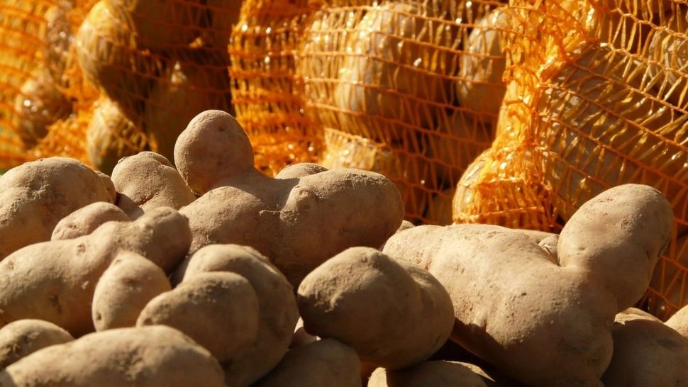 Cartofii, printre alimentele care s-au scumpit cel mai mult în ultimul an. Adrian Chesnoiu: „Producem mai mult decât consumăm”