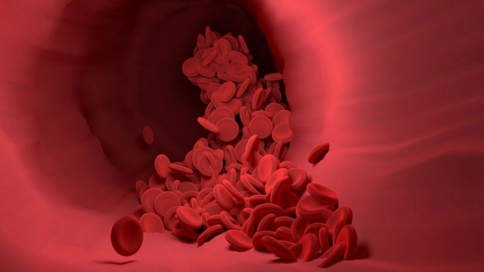 Alimentul care previne diabetul, boala secolului 21. Medicii, uimiți de efect!