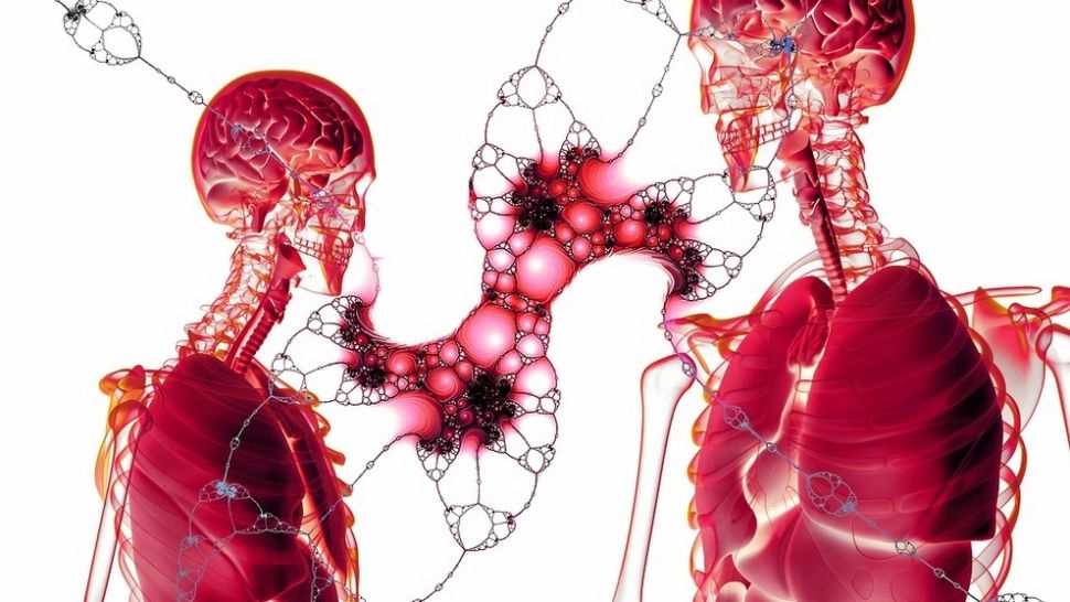 Alimentele care omoară natural celulele canceroase din corp