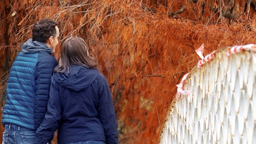 Județul Ilfov, aproape de scenariul verde înainte de Crăciun - Unde nu a fost raportat NICIUN caz de COVID-19