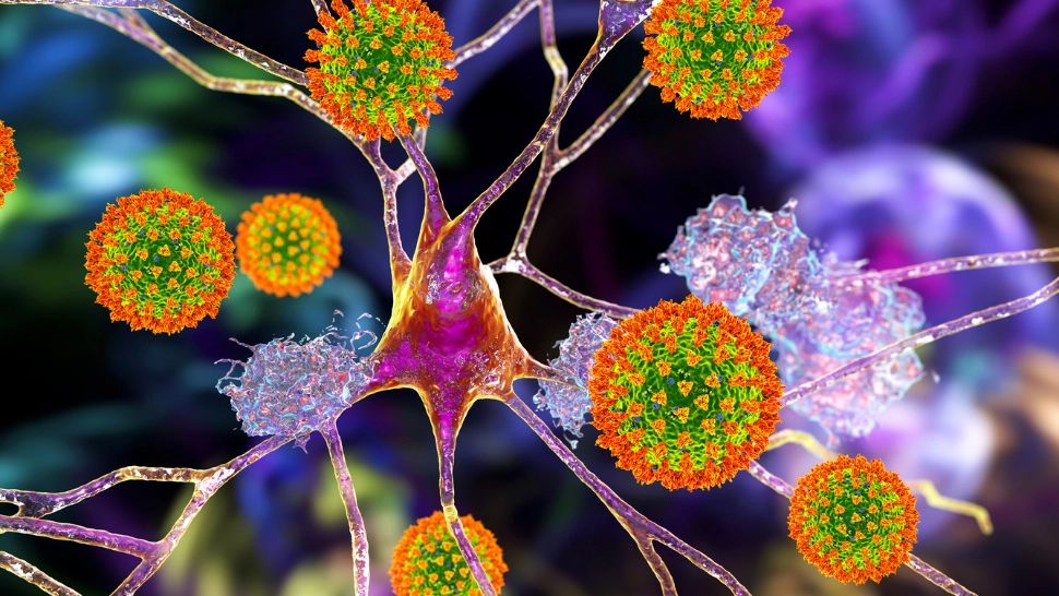 Cercetătorii au descoperit cauza COVID lung - Cum sunt „atacați” asimptomaticii și copiii de SARS-CoV-2