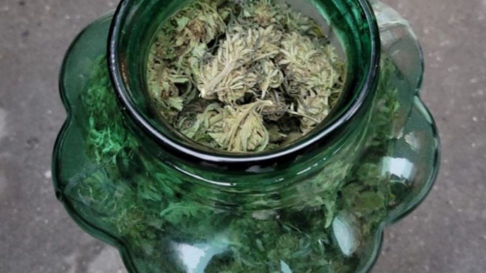 Mai mulți români, arestați pentru trafic de droguri de RISC - În loc de 18.000 de lei, au fost încătușați de oamenii legii