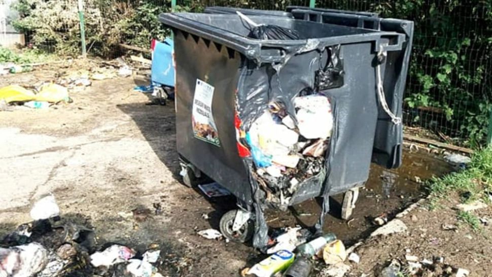 Zeci de localități din județul Hunedoara, invadate de GUNOAIE. Autoritățile vor să declare STARE DE ALERTĂ