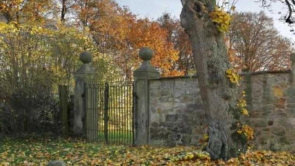 Acest test îți arată dacă ai un IQ peste medie. Tu vezi femeia din poză?