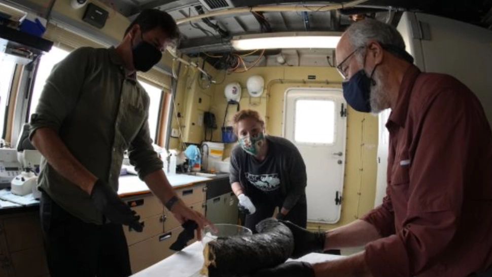 FOTO | Descoperire UIMITOARE în OCEAN! Oamenii de știință au rămas fără cuvinte 