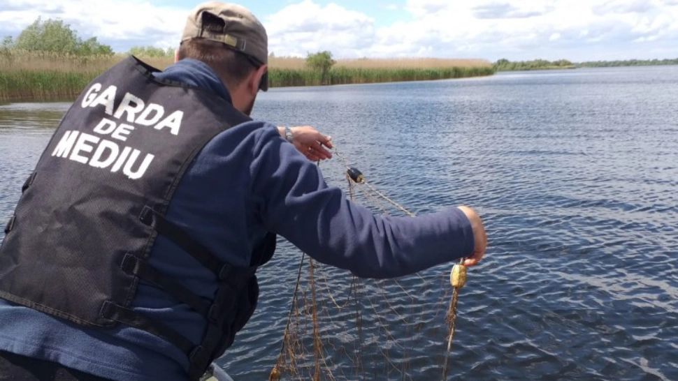 FOTO | Plasele ILEGALE confiscate de comisari în Delta Dunării pot înconjura 37 de terenuri de fotbal