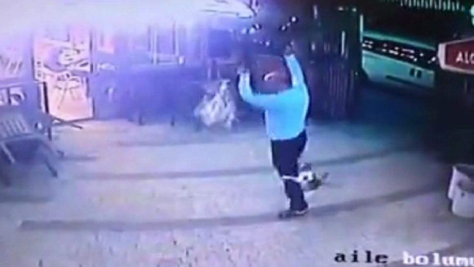 VIDEO | Un bărbat a fost atacat VIOLENT de o PISICĂ! Felina a instaurat PANICĂ printre cetățenii unui cartier din Chișinău. Filmarea a devenit virală