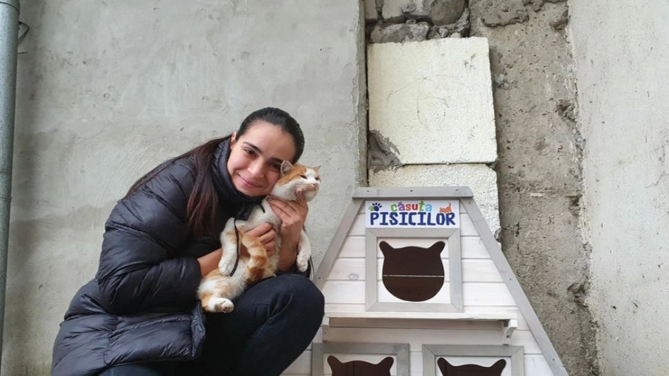 FOTO | Căsuţe noi pentru pisicile fără stăpân. O iniţiativă demnă de apreciat din partea unei polițiste din Giurgiu 