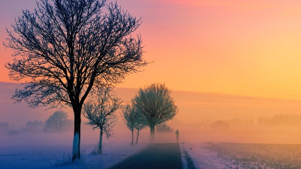 Cod GALBEN de vânt în 13 județe din România 