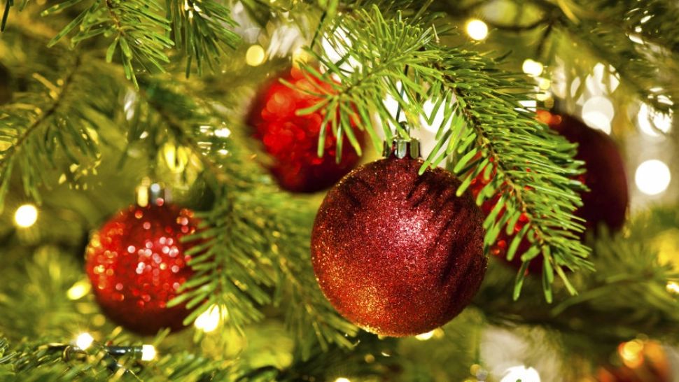 Cum să păstrezi bradul de Crăciun proaspăt mai mult timp - trucul care împiedică ofilirea