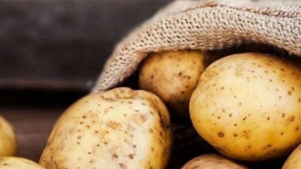 Americanii, ajutor rapid în prag de An Nou - Avioane încărcate cu cartofi zboară neîncetat spre Japonia