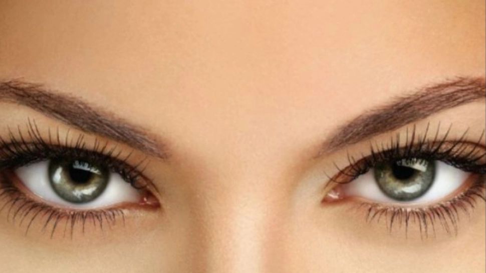  Cum te infestezi cu păduchi de gene. Simptomele date de acest parazit 