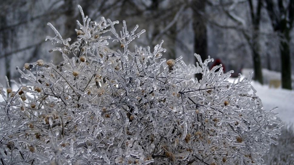 De ce apare ploaia îngheţată, fenomenul meteo care a îngrozit România