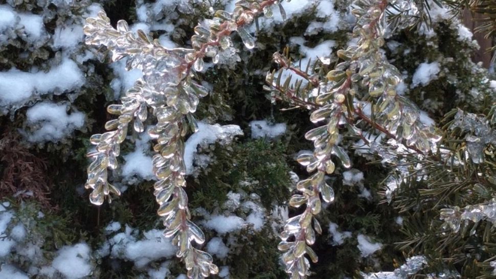 Prognoza meteo pentru Revelion. Temperaturi peste cele specifice pentru sfârşitul de an