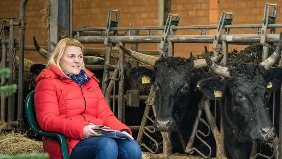 FOTO | VACCINARE ieșită din comun! Imunizare la fermă, printre văcuțe. Unde se întâmplă 