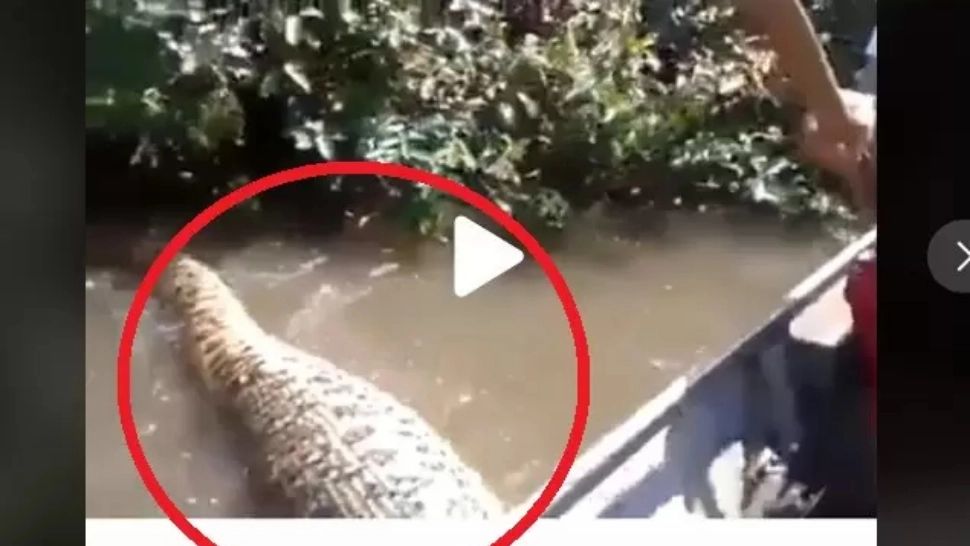 VIDEO – Mergeau cu barca pe râu când a apărut un monstru uriaș – Puțin a lipsit până la o tragedie