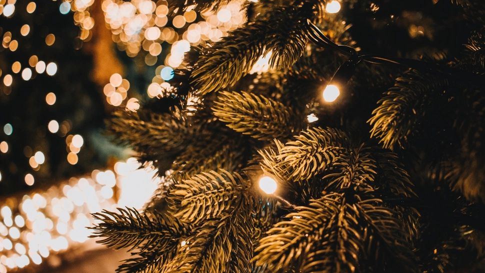Idei de decorare a bradului de Crăciun în acest an (P)