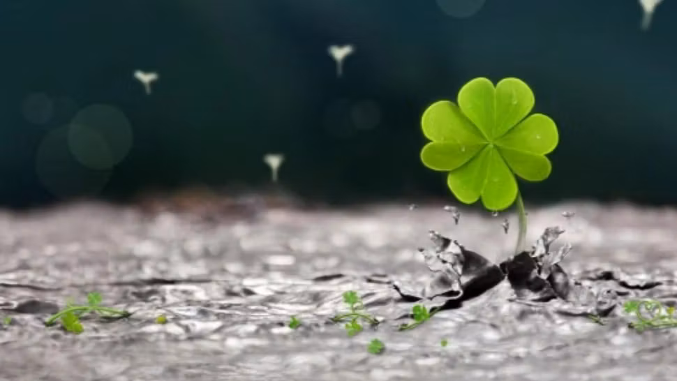 Horoscop 12 decembrie. O zodie trage lozul câştigător! Din unde dă, primeşte însutit!