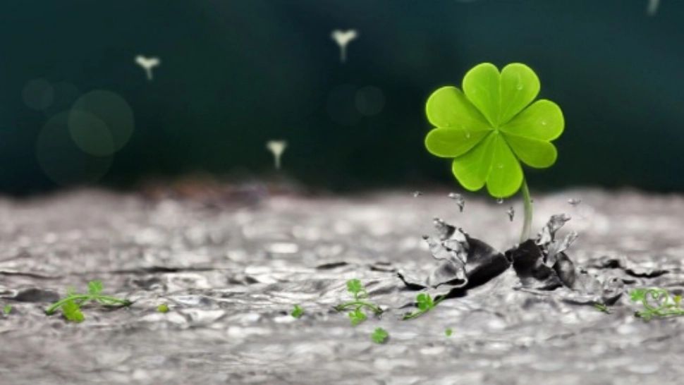 Horoscop 28 decembrie. Zodia care se îmbogățește. Din ce dăruiște, primește însutit!