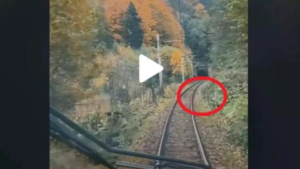 VIDEO – Mecanicul locomotivei a filmat drumul, din cabină, pe Valea Prahovei – Surpriză, ce i-a apărut brusc în cale