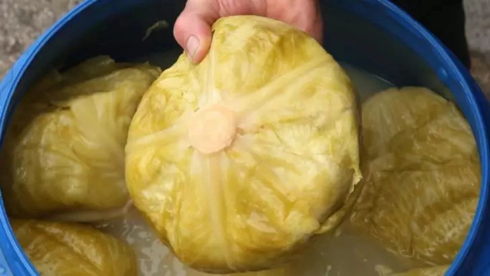 VIDEO - Ce a putut să ascundă un român, la graniță, în butoiul cu varză murată