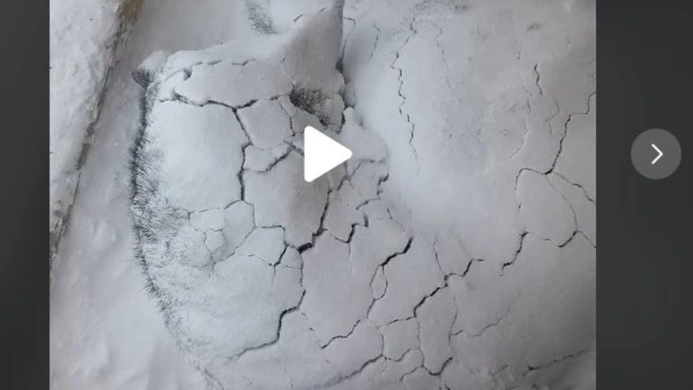 VIDEO – A văzut ceva ciudat în zăpadă. Când a dat cu piciorul să verifice, a fost surprinsă de ce a putut să găsească