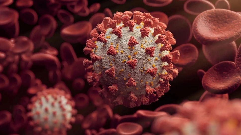 Trecerea prin COVID-19 dă peste cap sistemul imunitar și declanșează boli autoimune - Ce fac autoanticorpii | STUDIU