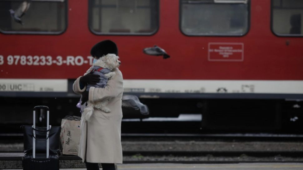 Trafic feroviar întrerupt în zona Filiași, după ce mai mulți copaci au căzut peste șine