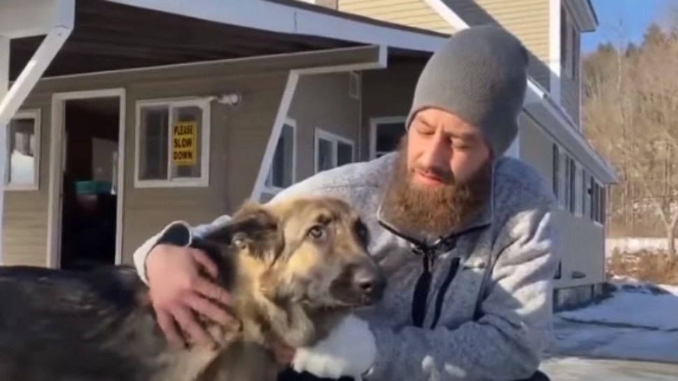 Un câine i-a salvat viața stăpânului său. Bărbatul a fost grav rănit într-un accident rutier