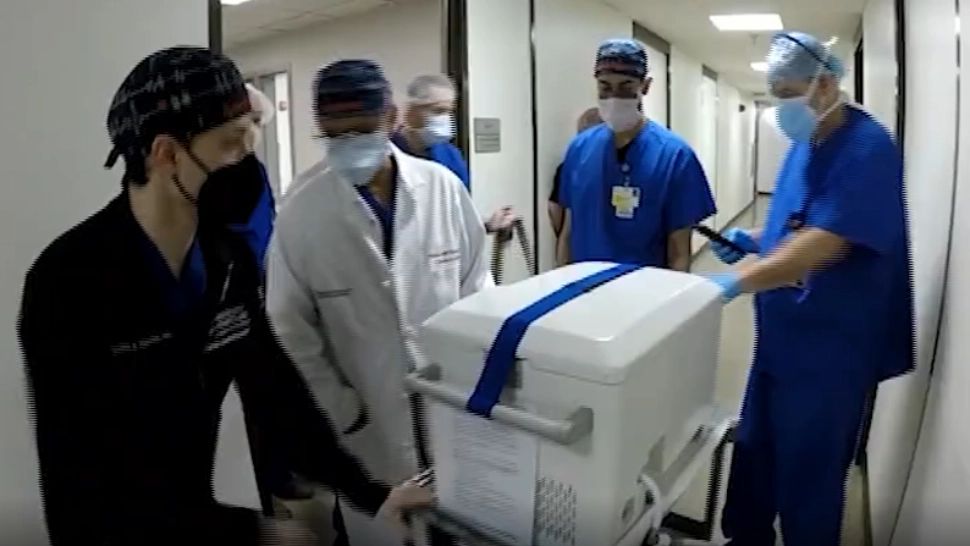 Trecutul VIOLENT al pacientului cu inimă de porc! Este ȘOCANT ce a făcut în tinerețe: Viața unei persoane, DISTRUSĂ