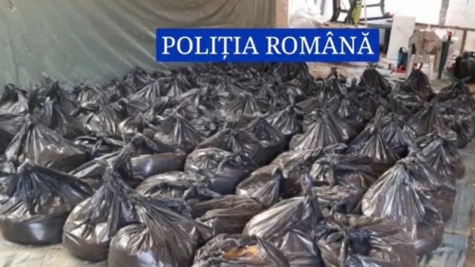 DESCINDERI în forță la contrabandiști în Călărași - TUTUN de peste 1 milion de lei, confiscat la o fabrică improvizată