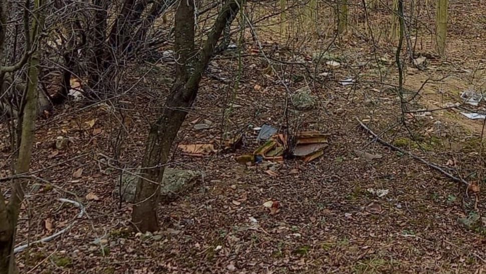 Noi INFORMAȚII din ancheta MORȚII omului de afaceri Alexandru Coman - Ce s-a descoperit în pădurea Băneasa | FOTO